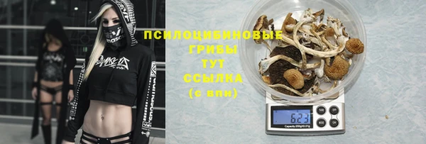 прущая мука Медногорск