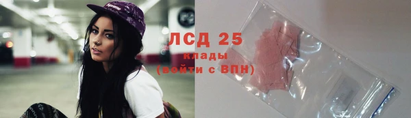 спиды Медвежьегорск