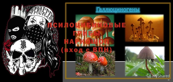 спиды Медвежьегорск