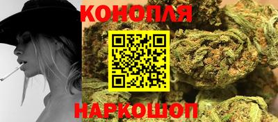 индика Беслан