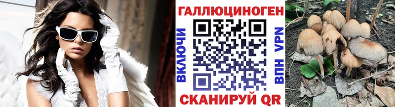 сколько стоит  Краснокаменск  Галлюциногенные грибы Cubensis 