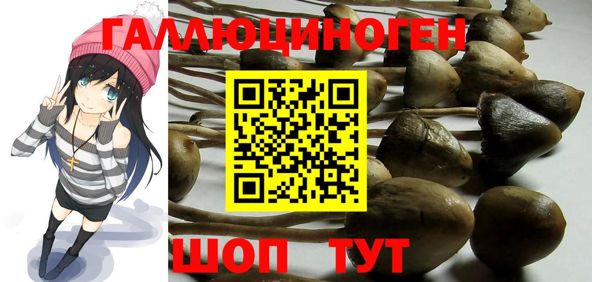 Галлюциногенные грибы GOLDEN TEACHER  цены наркотик  Краснокаменск 