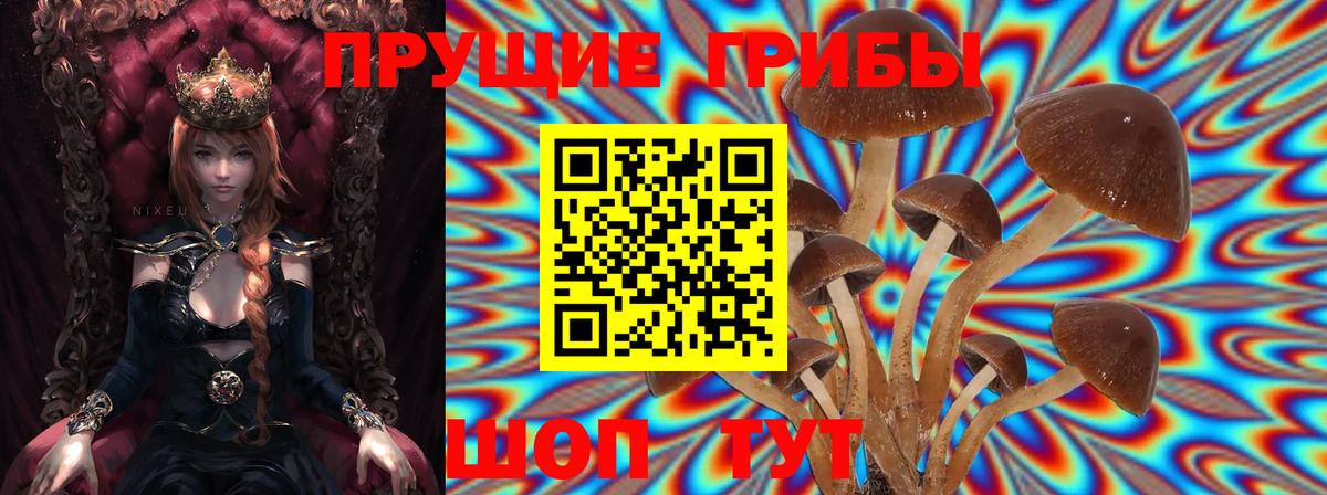 Псилоцибиновые грибы мухоморы Краснокаменск