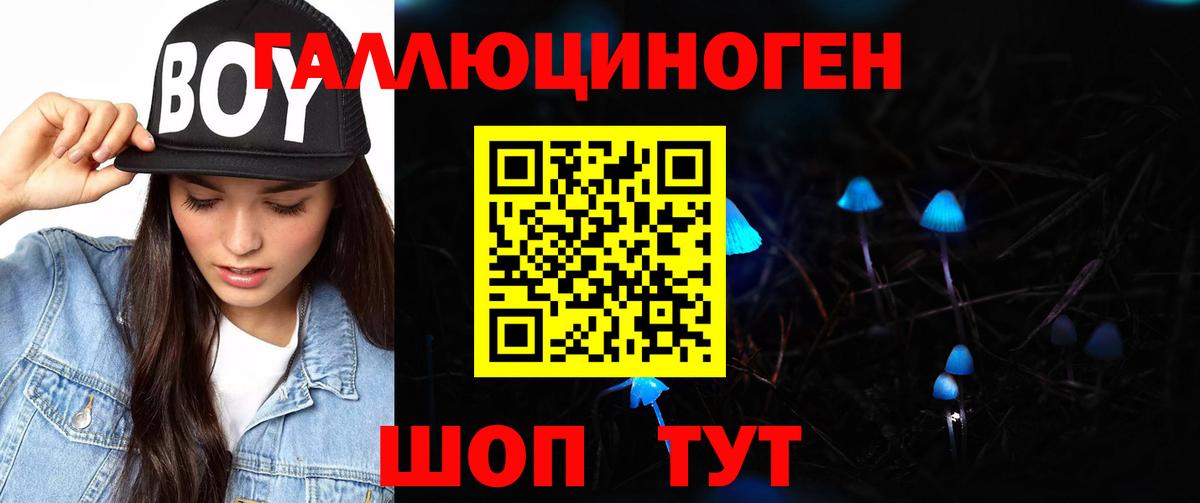 Псилоцибиновые грибы Cubensis  Галлюциногенные грибы мицелий  Вход с VPN  Краснокаменск 
